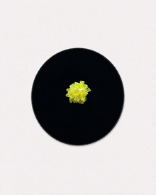 Lemon Yellow Crystal Flower