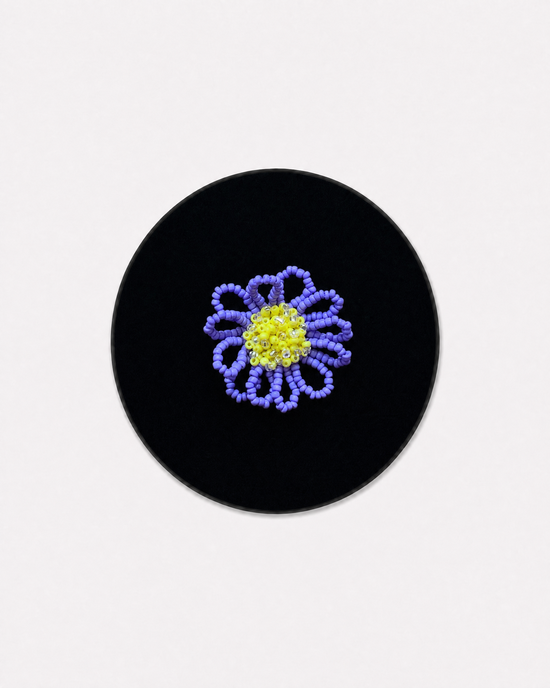 Purple Center Daisy